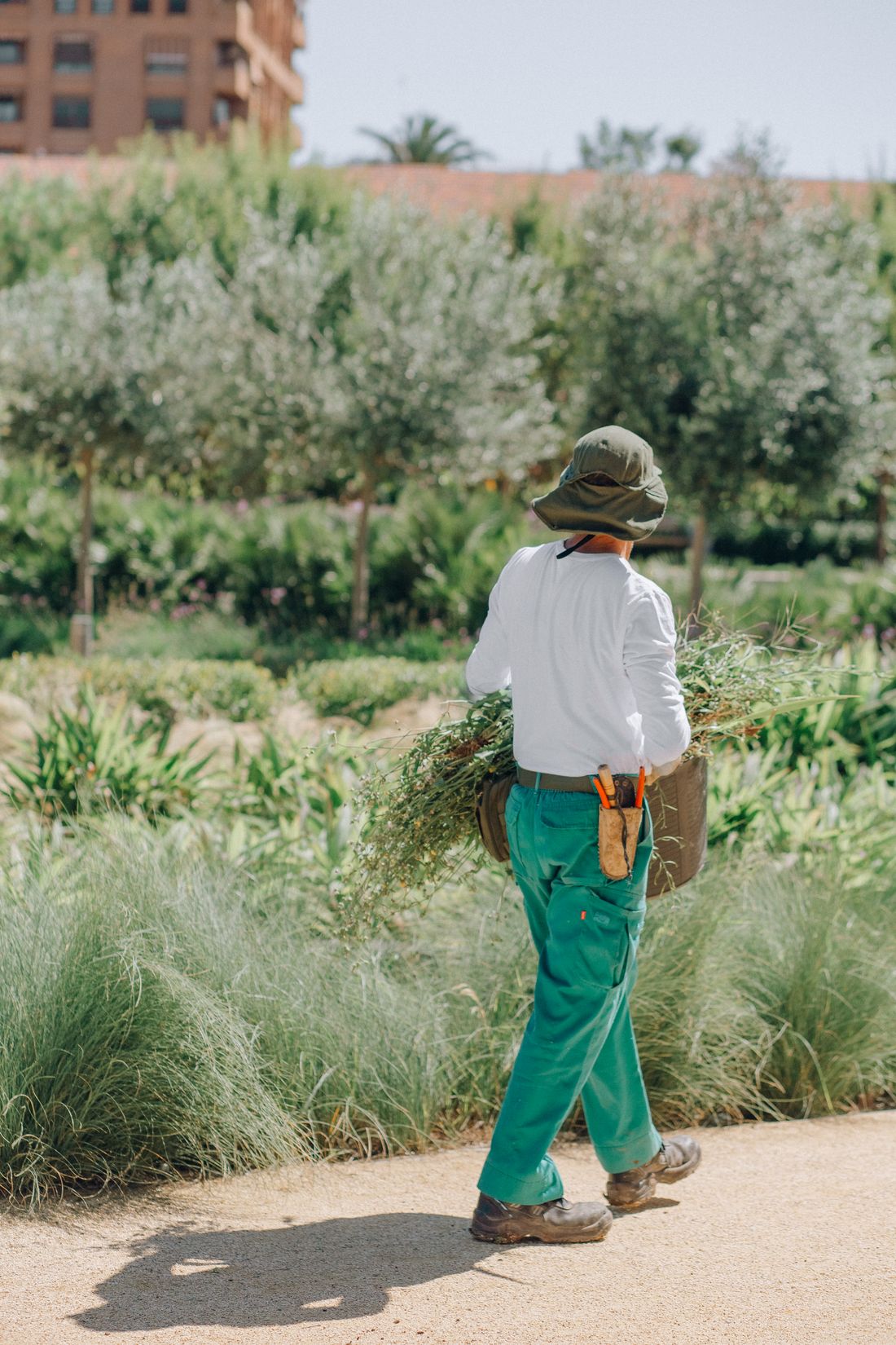 South African gardener at work carrying garden cuttings