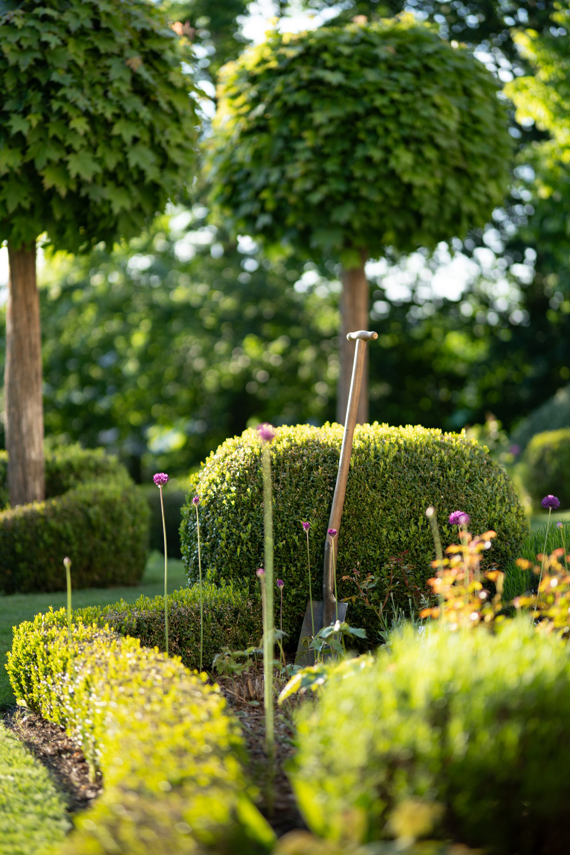 Lush landscaped garden with clipped hedges and topiary