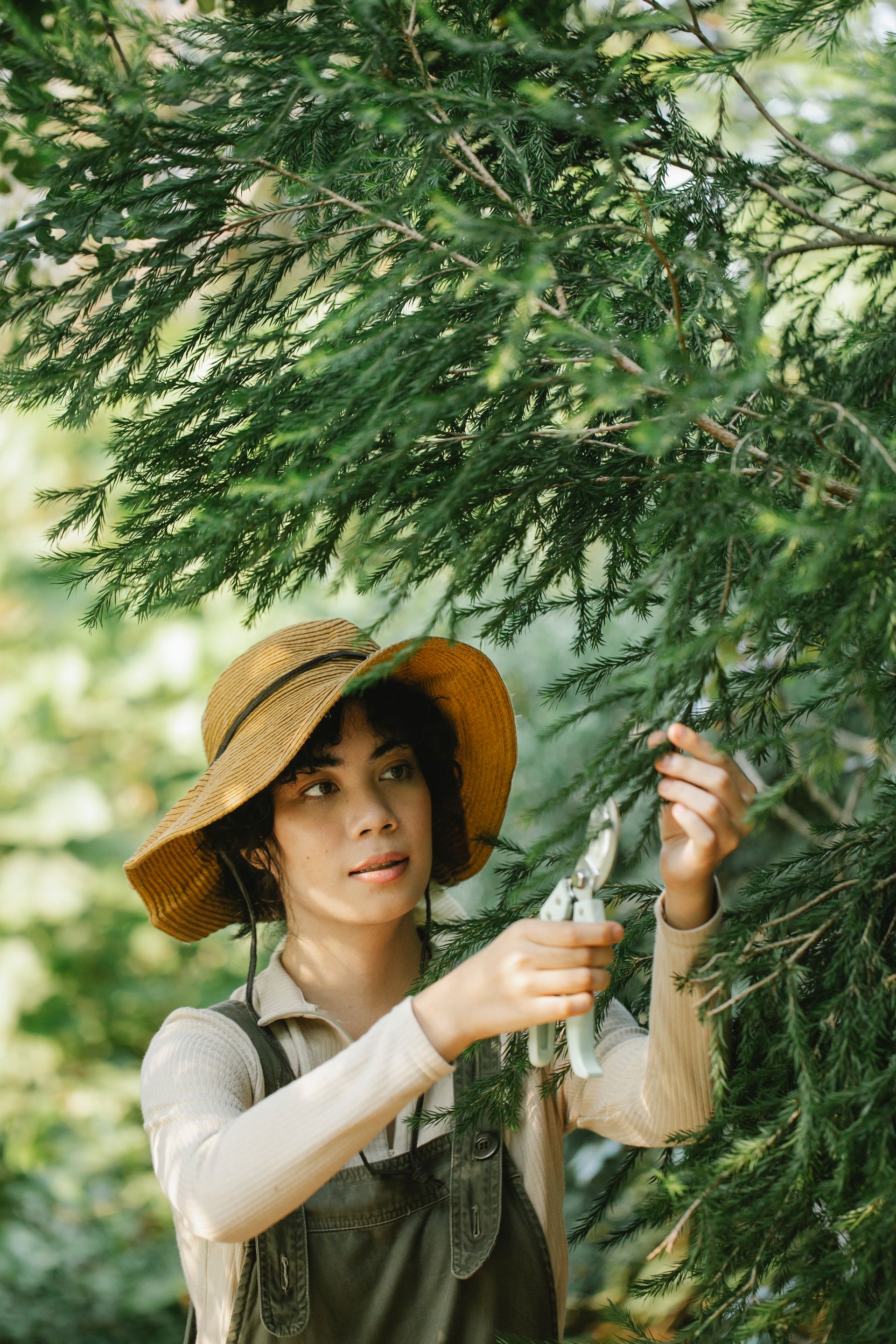 Gardener pruning a hedge in a lush green garden